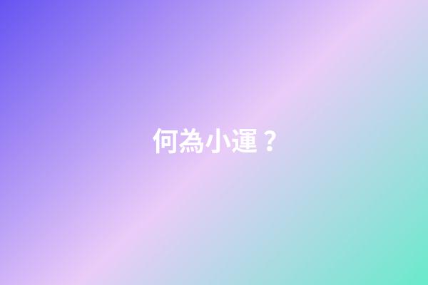 何為小運？